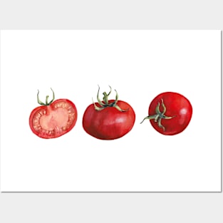 Three Red Tomatoes. Watercolor Painting Posters and Art